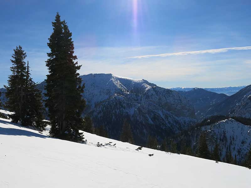 Buchbergkogel